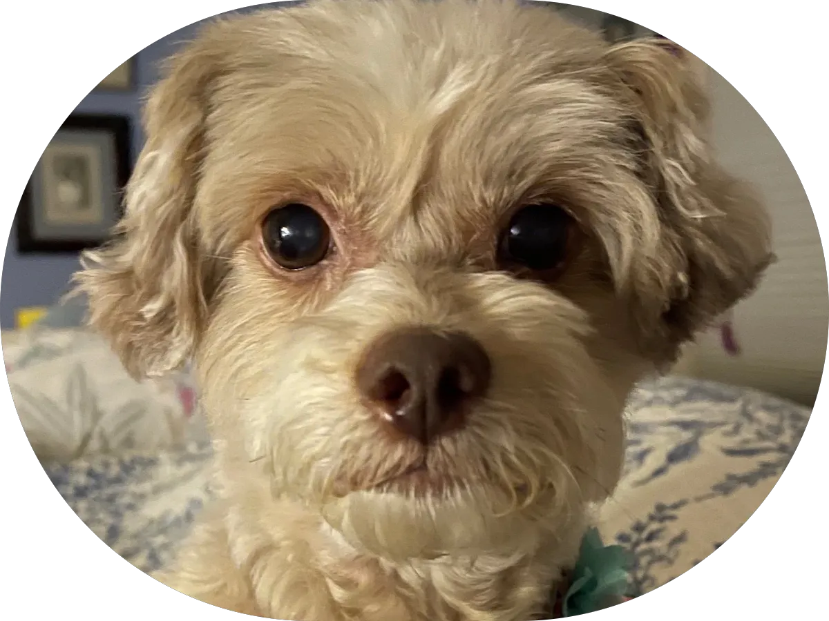 That Grab Bar Guy-- We help you get a grip! photo 4