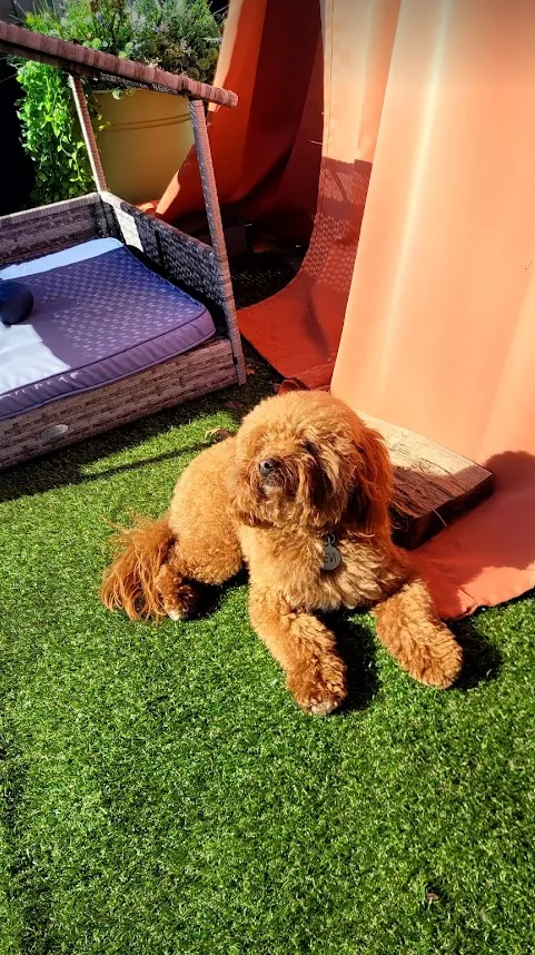 The Ark Retreat photo 2