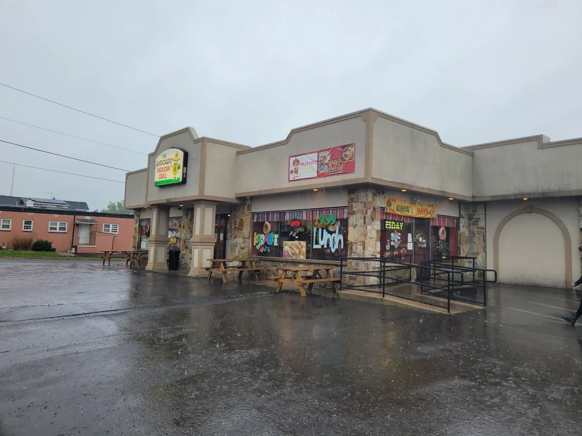 The Avocado Mexican Grill photo 2