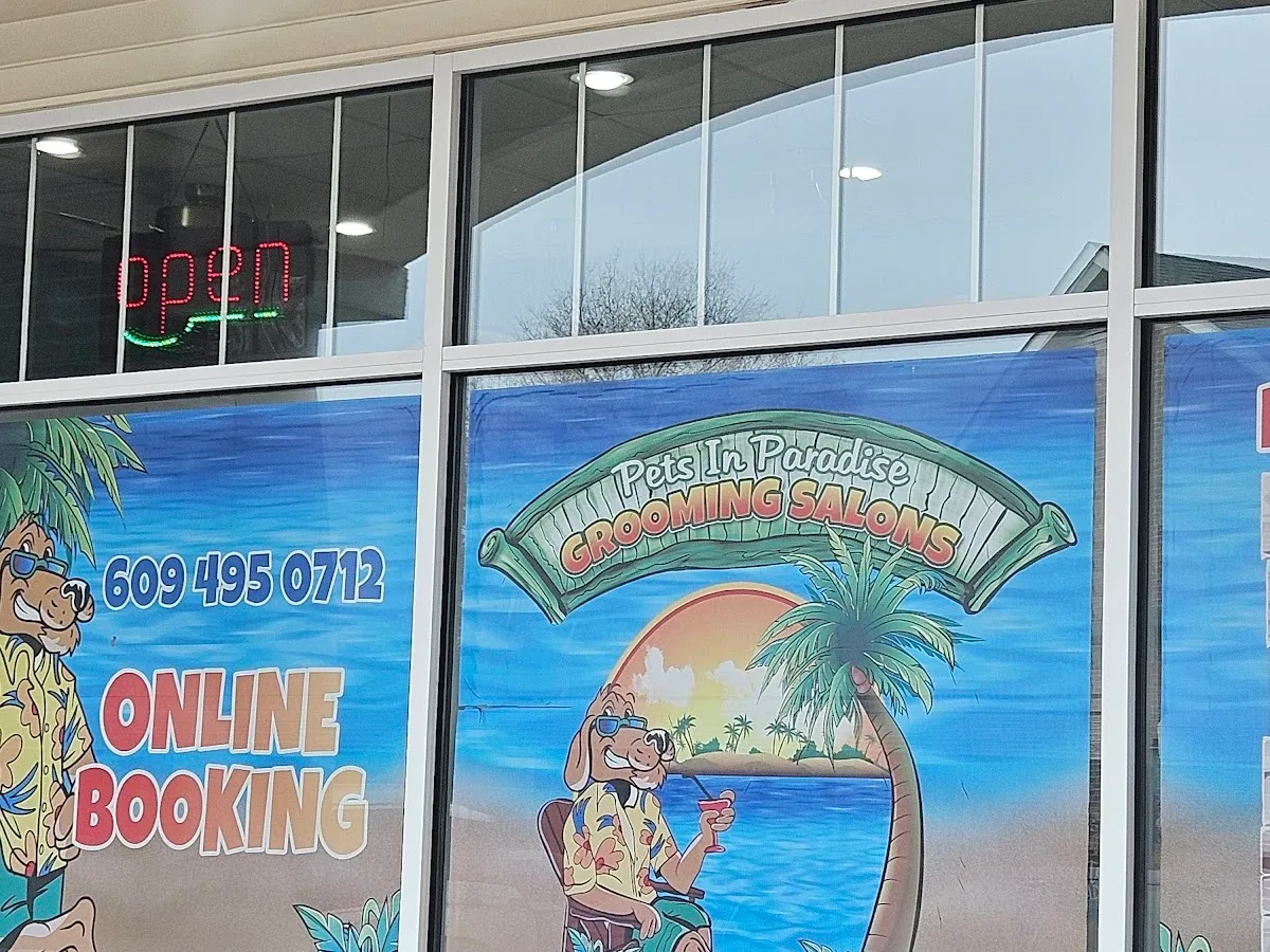 The Barking Lot & Cat's Meow photo 5