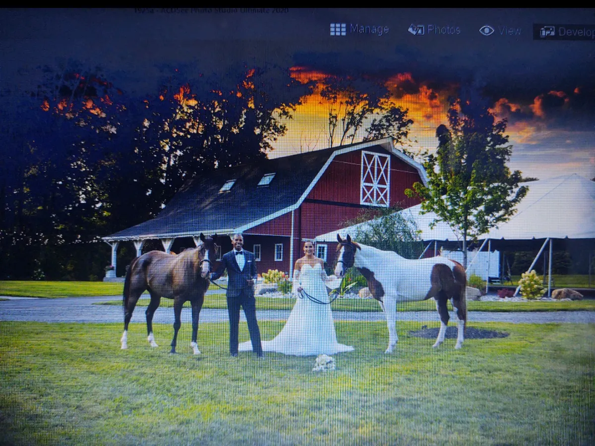 The Barn on South Holland