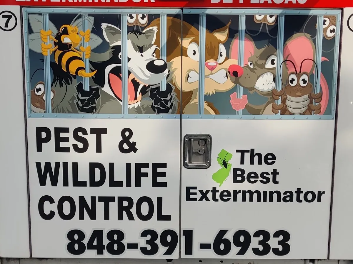 The Best Exterminator