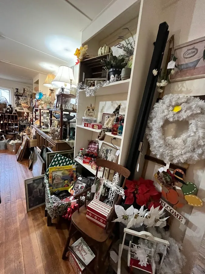 The Bountiful Collective photo 2