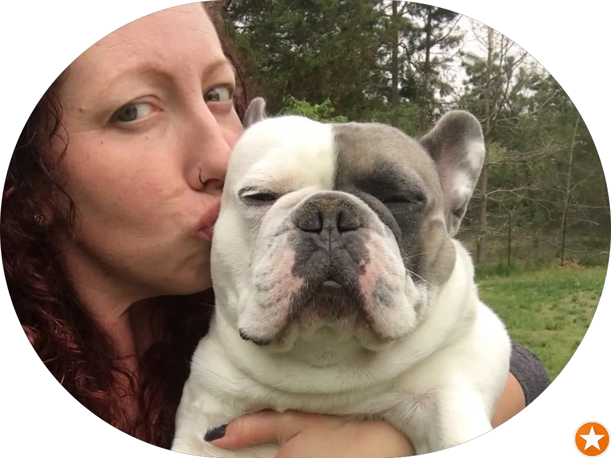 The Browning Agency: Auto Tags & Notary, LLC photo 3