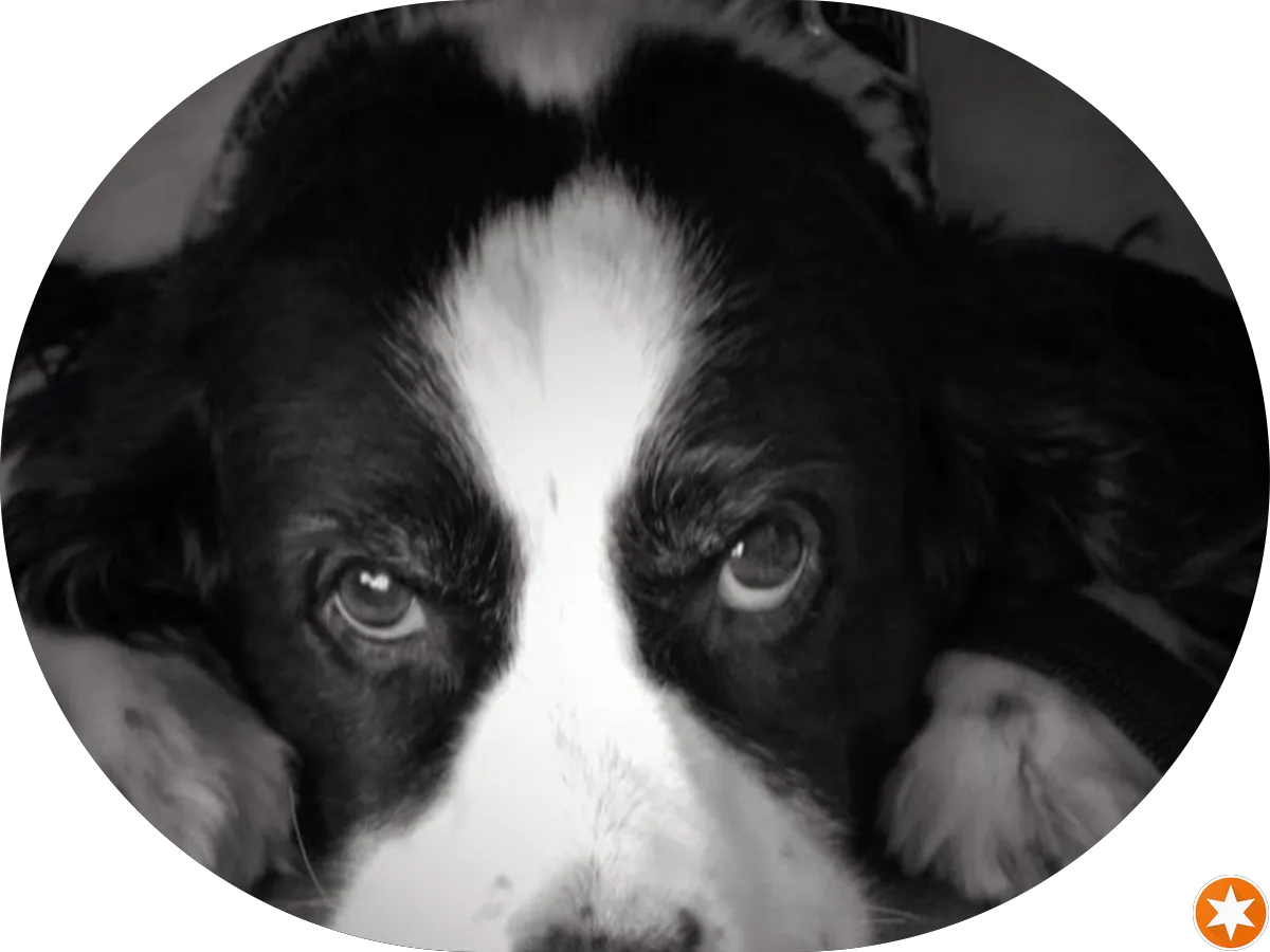 The Cabinet Co. photo 3