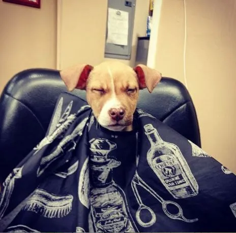 The Clip Joint photo 5