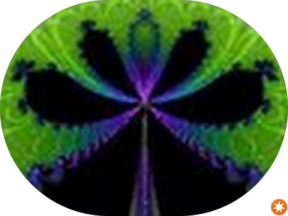 The County Connection photo 2