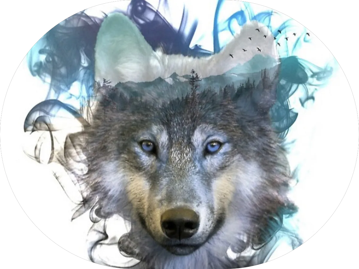 The Dance Laboratory photo 5