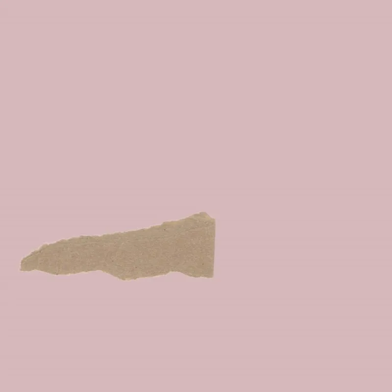 The Enchanted Petal photo 5