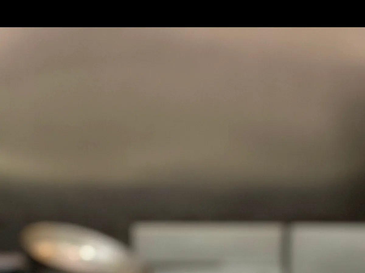 The Fat Tomato Italian Bistro photo 4