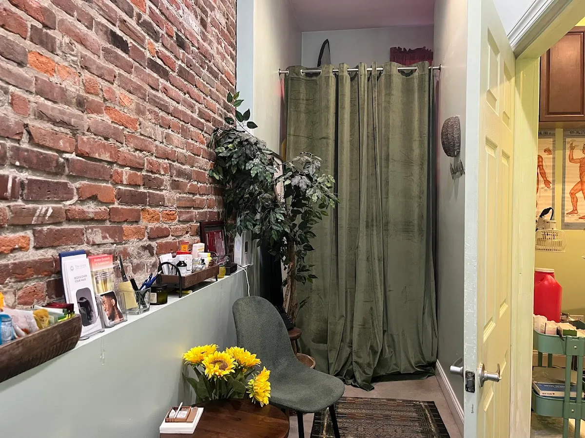 The Great Turning Acupuncture photo 2