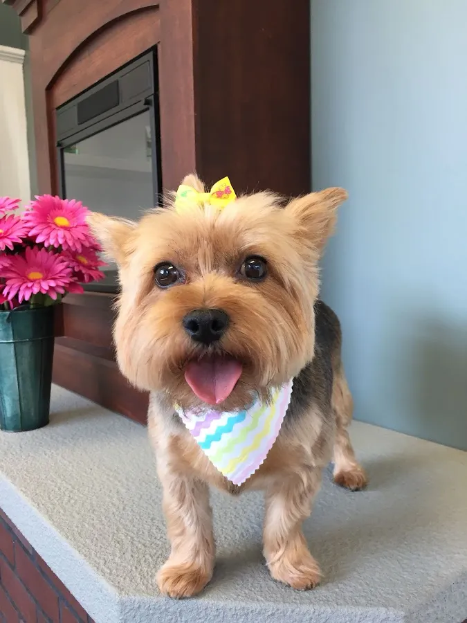 The Groom Room photo 2