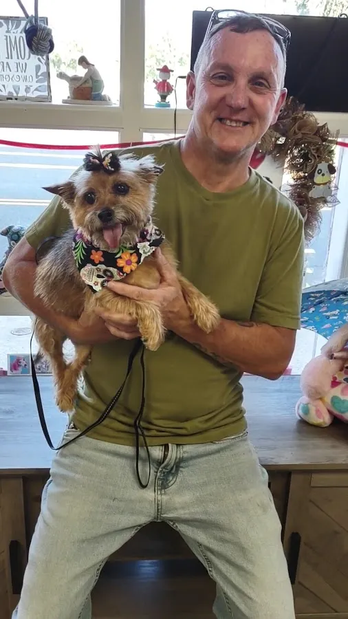 The Groomer's In LLC photo 3