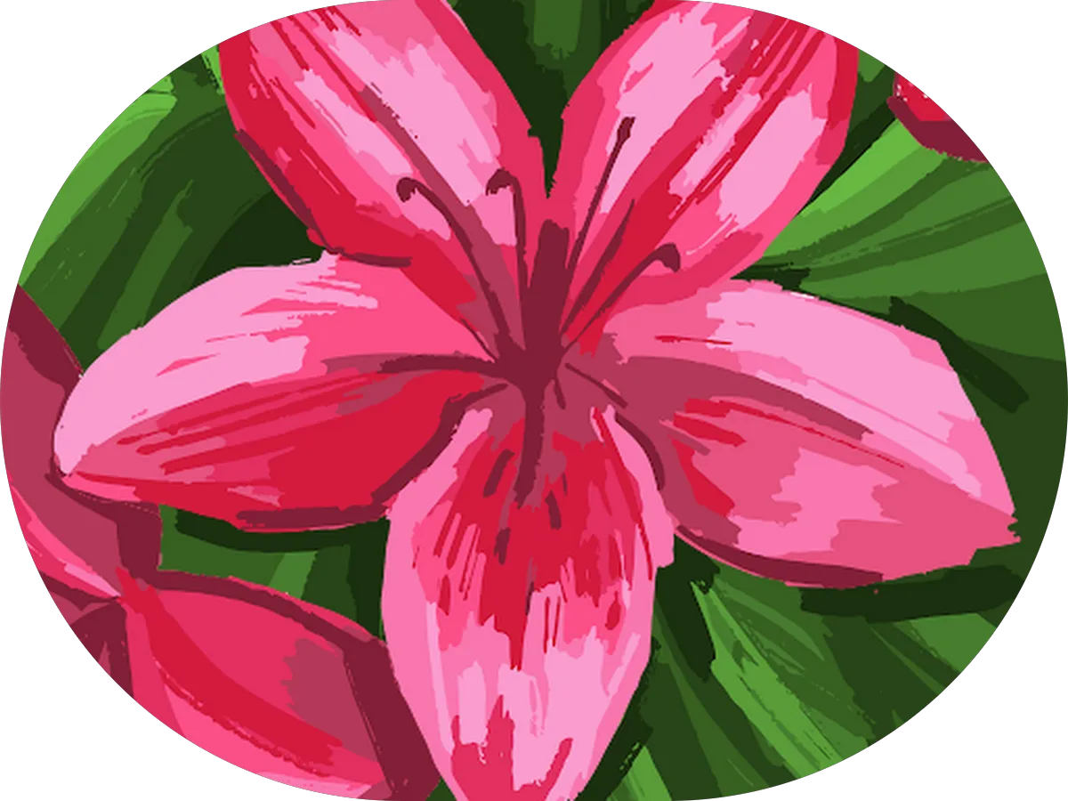 The Hair Lounge photo 5