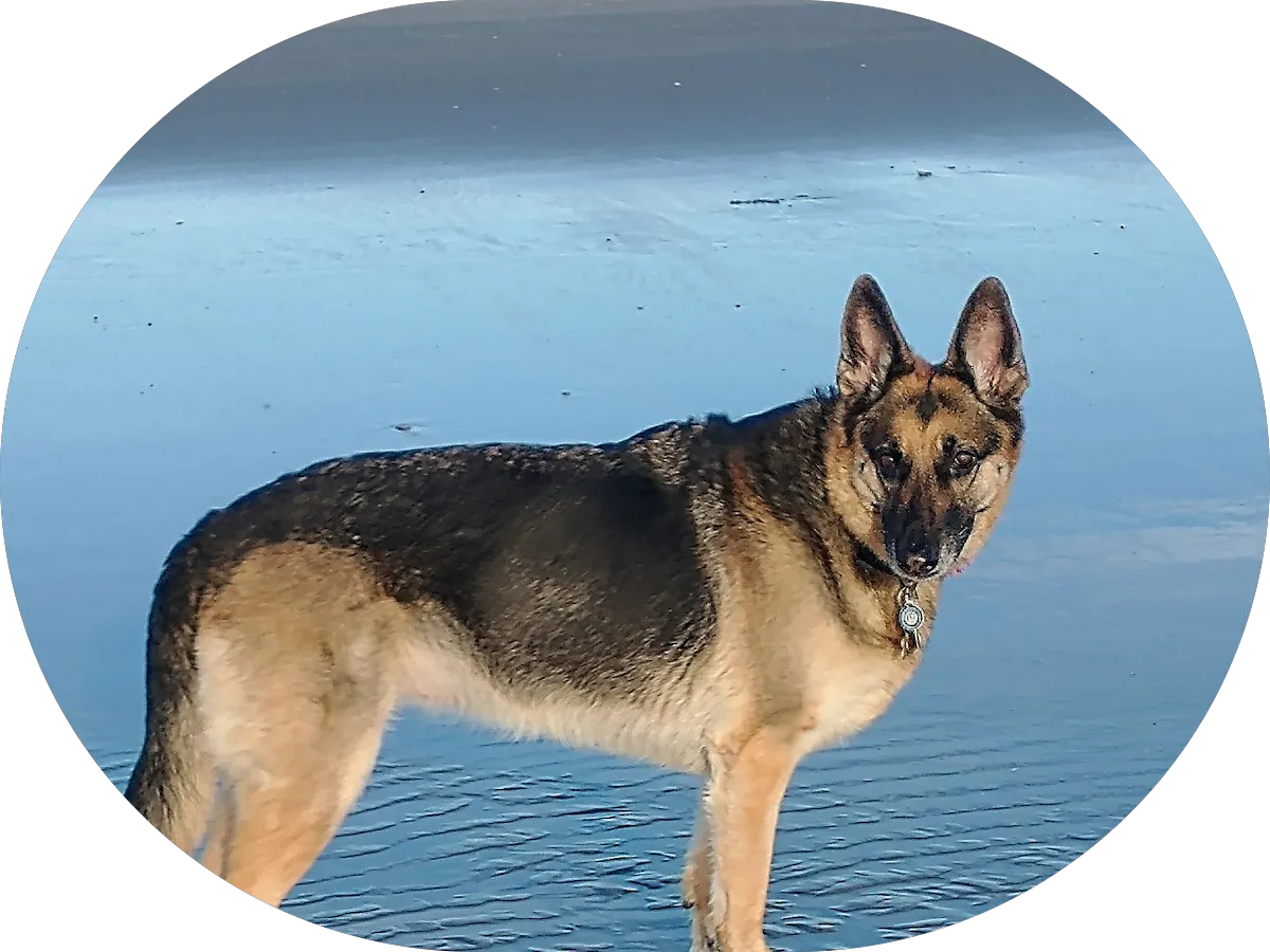 The Hartford photo 5