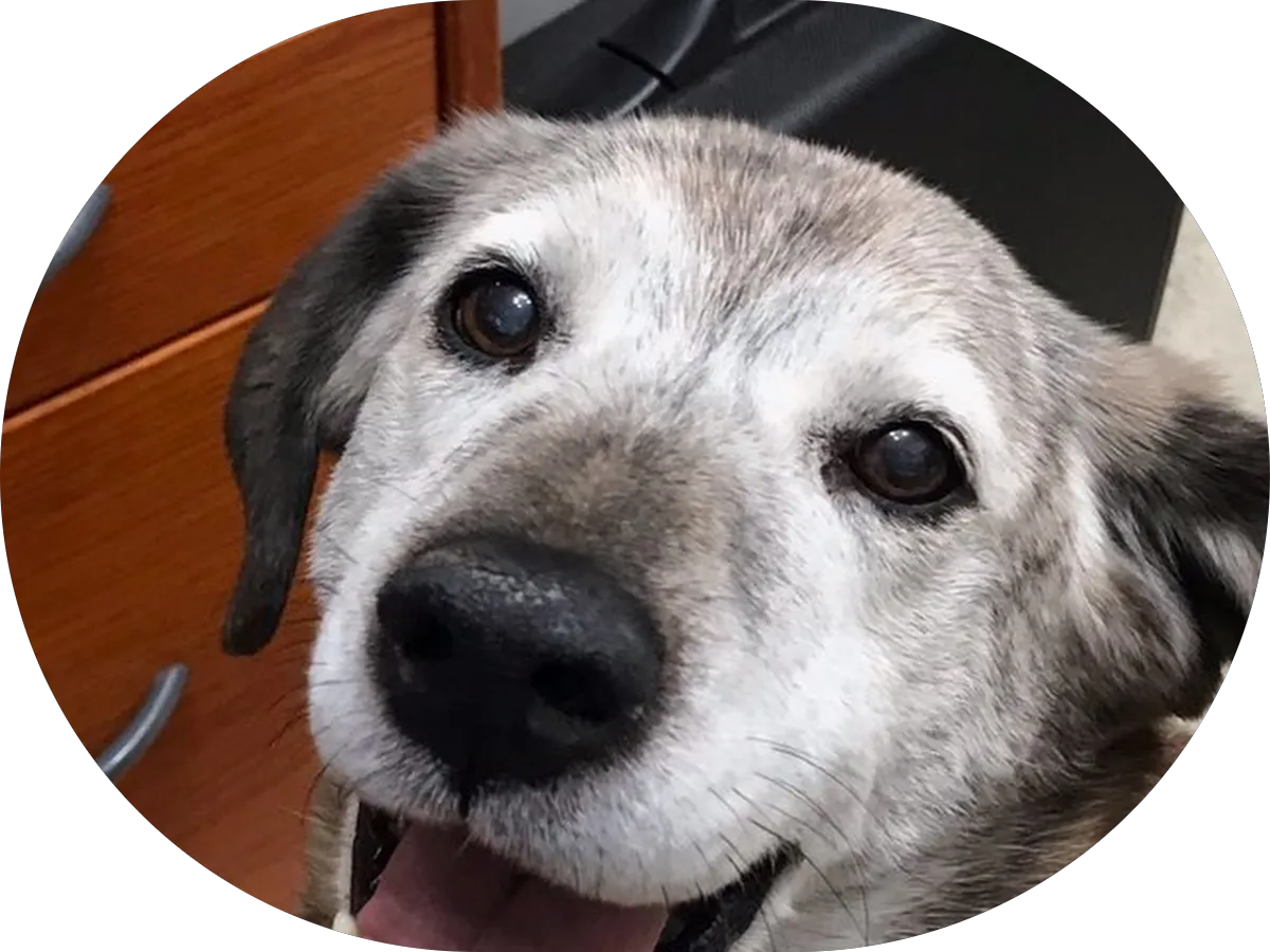 The Health Center at Galloway photo 4