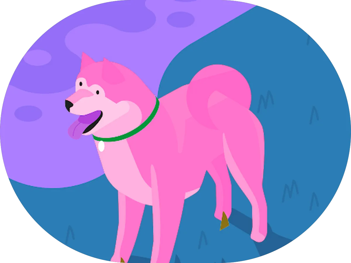 The Insurance Agency photo 3