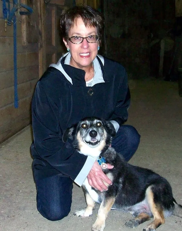 The Jersey Dog Trainer photo 2