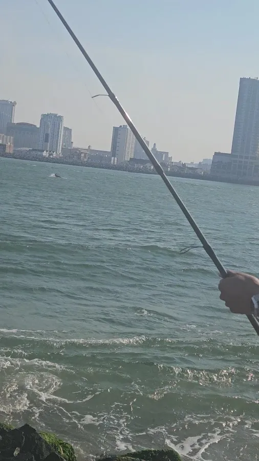 The Jetty, Brigantine New Jersey photo 3