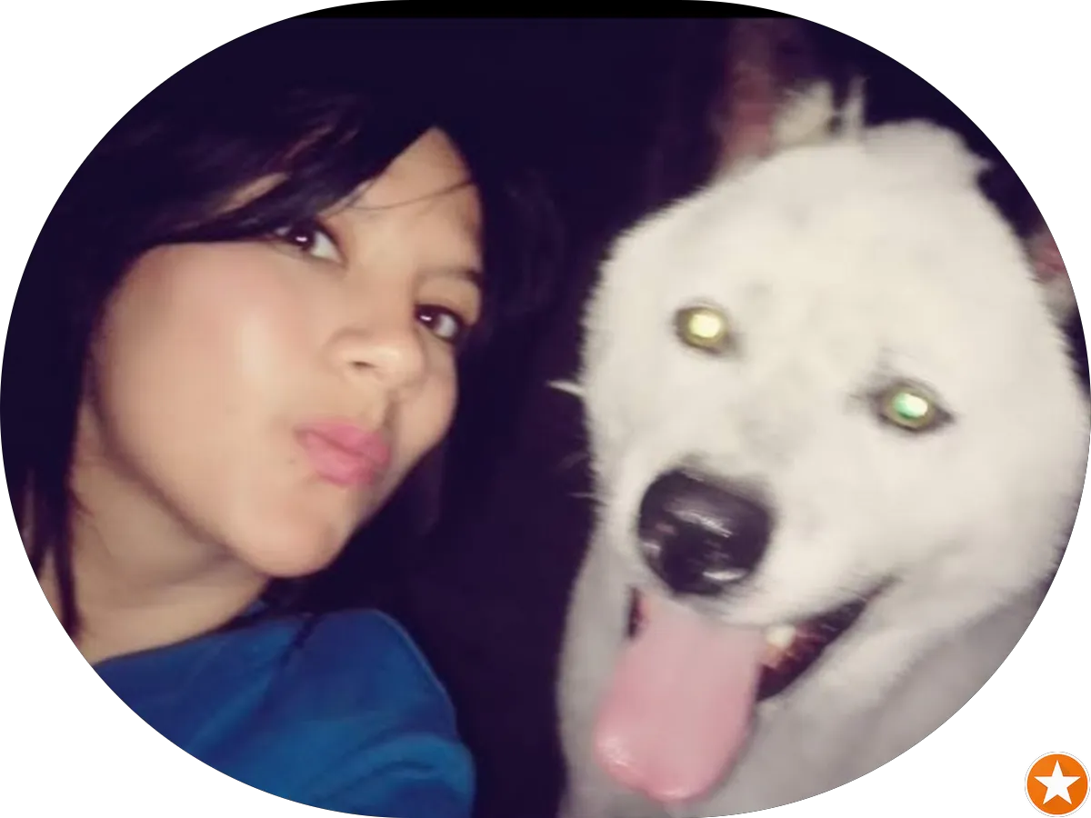 THE LASH SALON photo 5