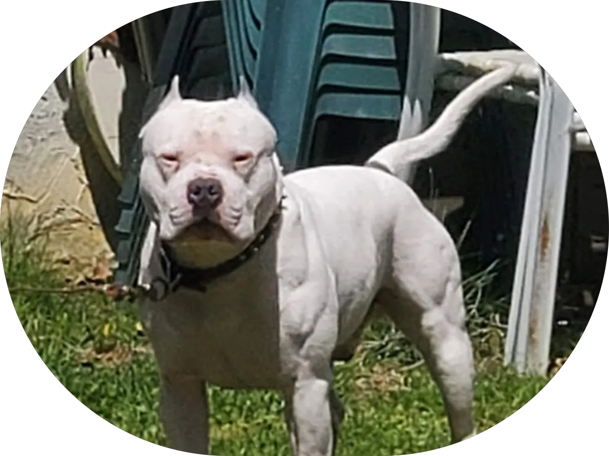 The Law Offices of David T. Garnes, LLC photo 4