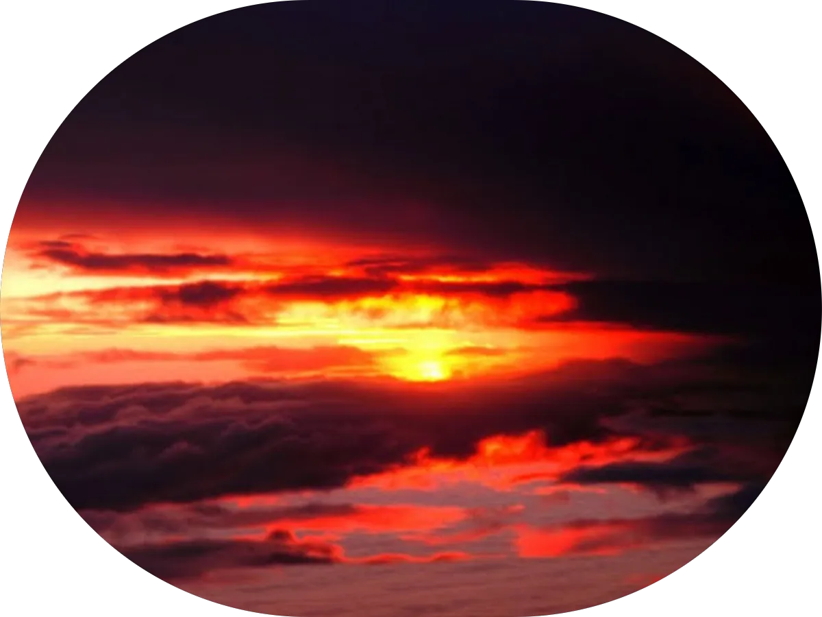 The Law Offices of Ralph A. Paolone photo 4