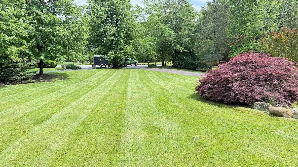 The Lawn Ranger NJ LLC photo 3