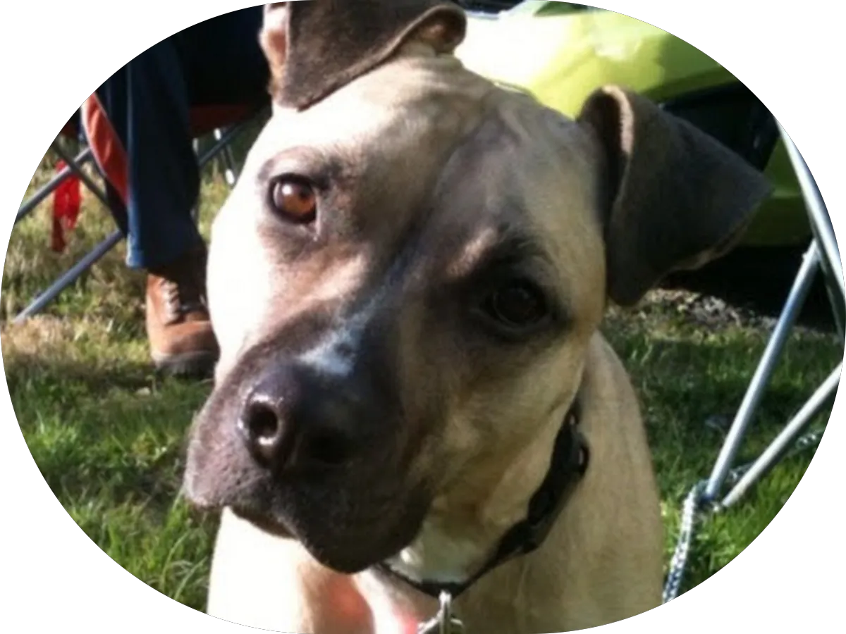 The Mail & Smoke House photo 4