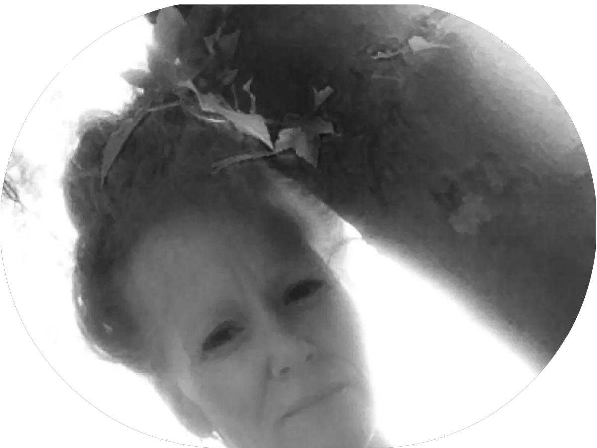 The Next Step Counceling LLC