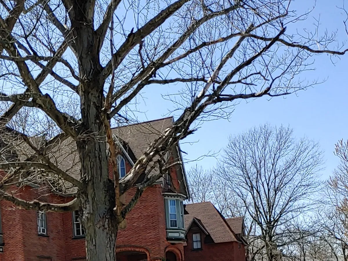 The Next Step Counceling LLC photo 4