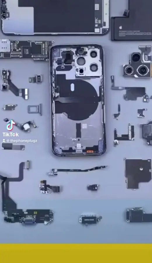 The Phone Plugz photo 4