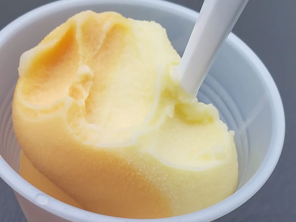 The Pine Cone photo 3