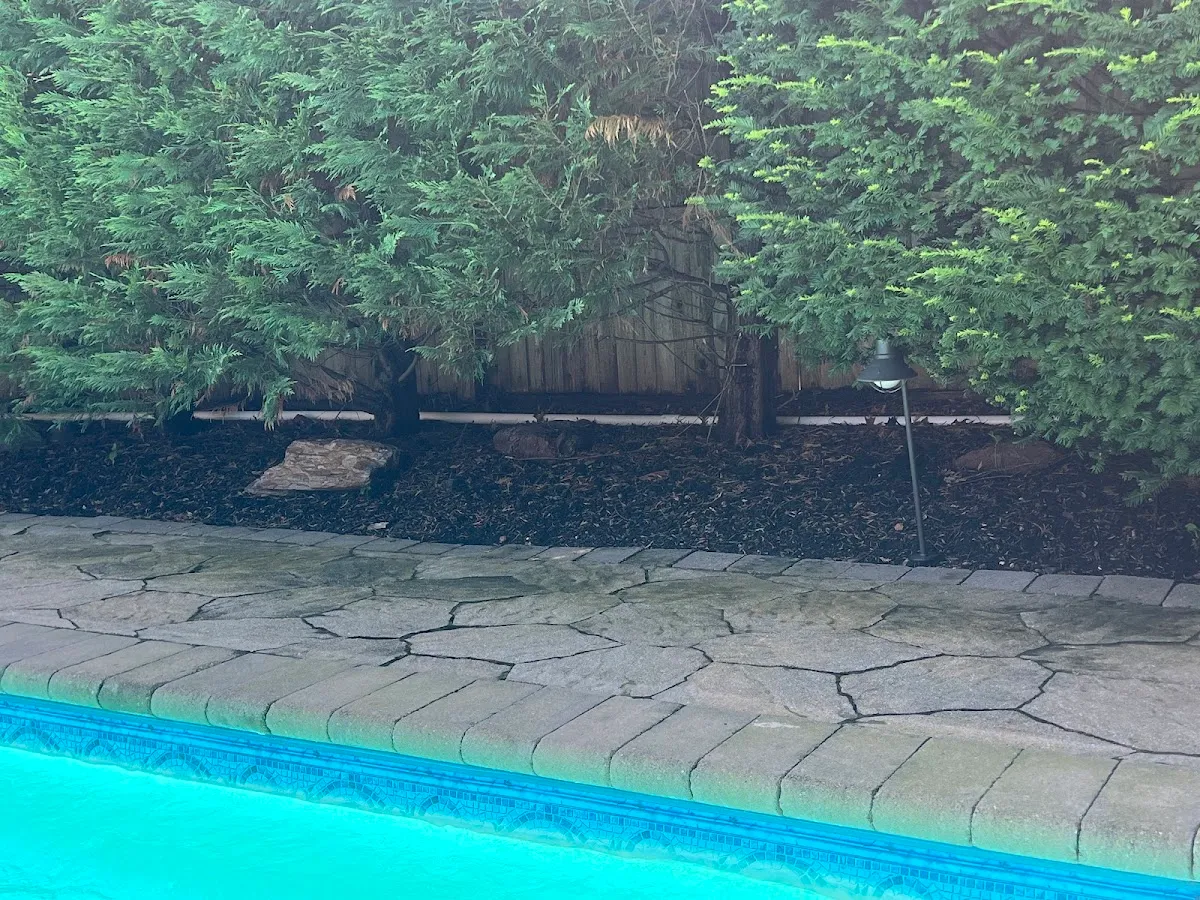 The Pool Company photo 3