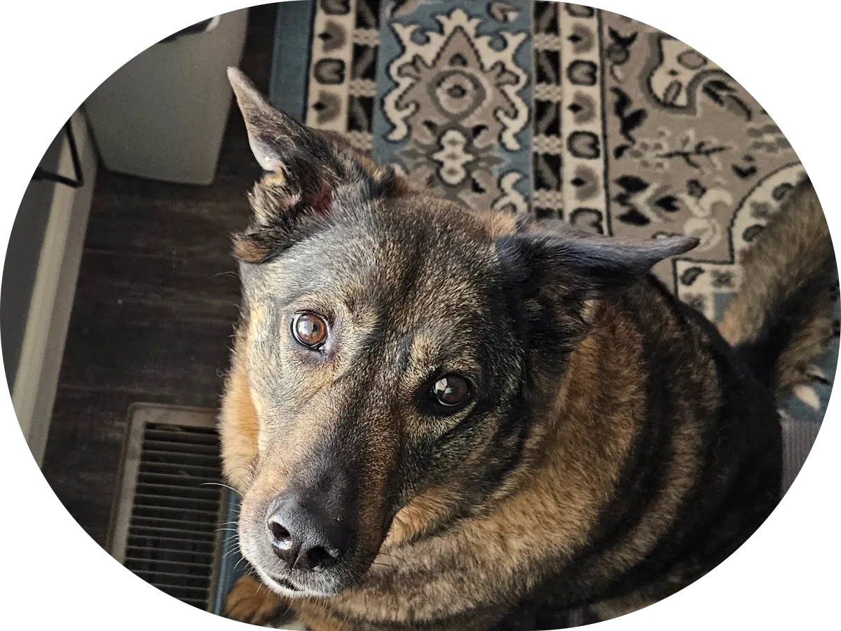 The Property Exchange Group by Real Brokerage photo 2