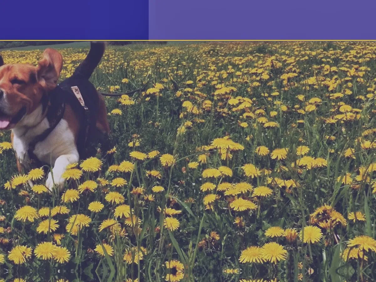 The Puppy POOlice, Inc