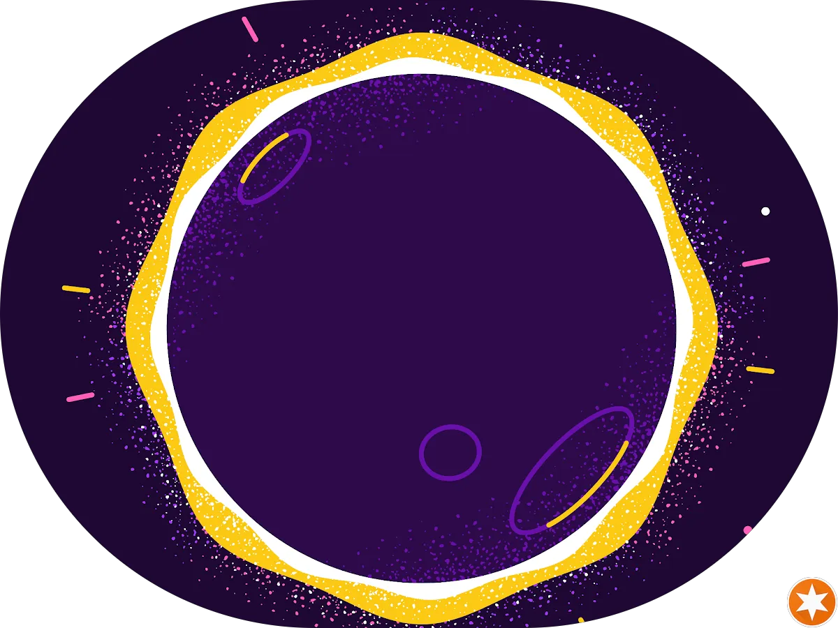 The Record Collector photo 5