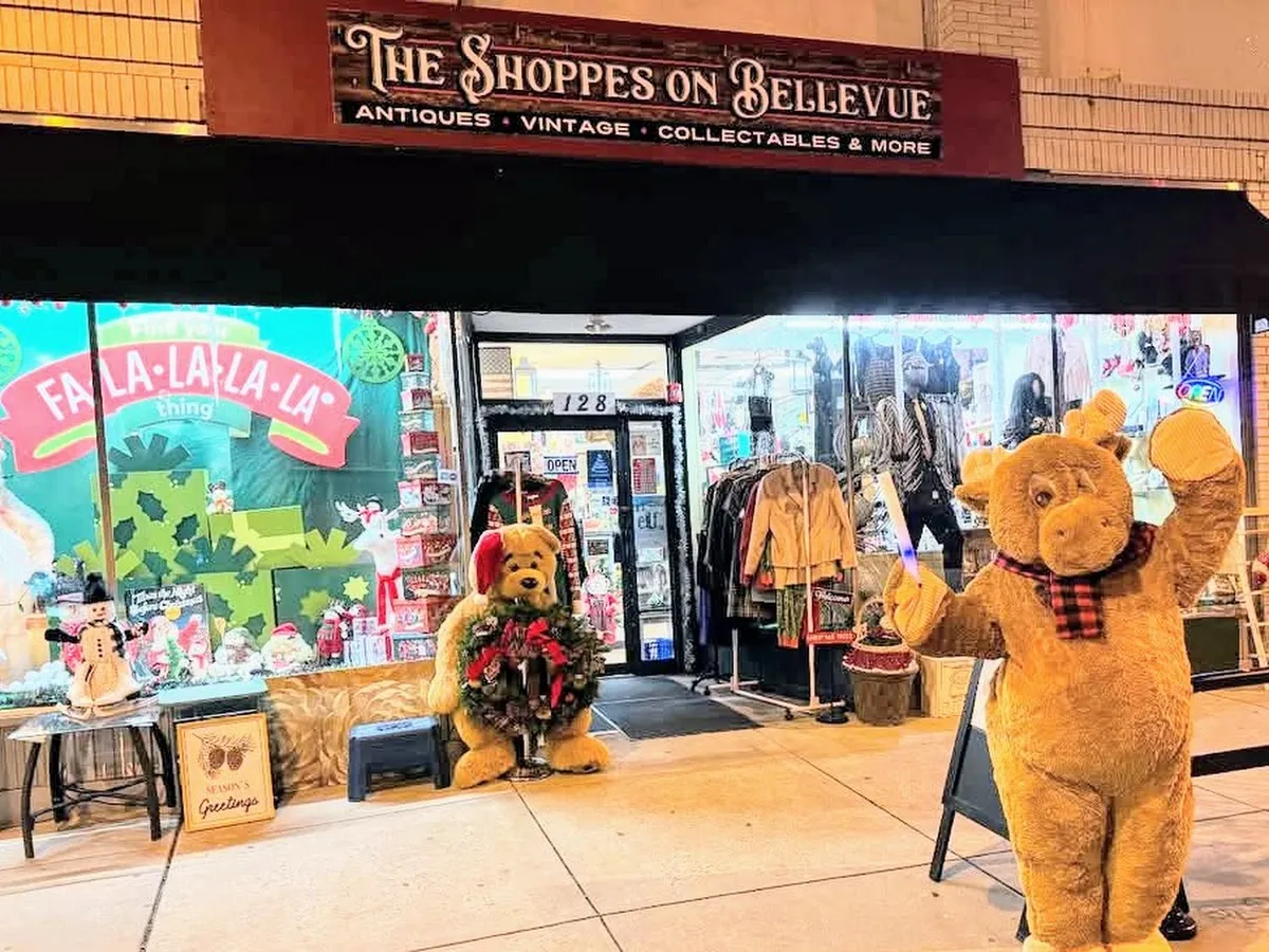 The Shoppes on Bellevue