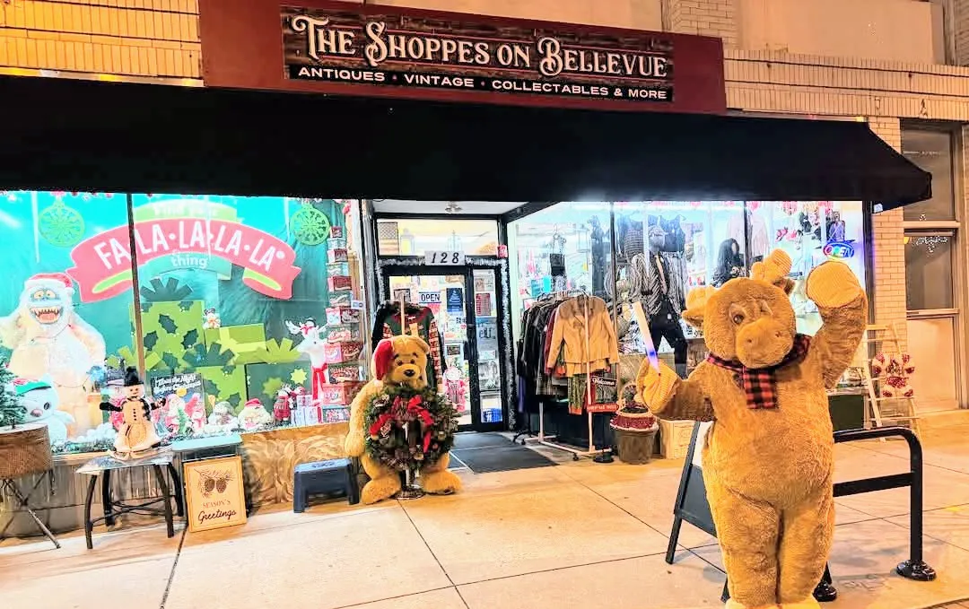 The Shoppes on Bellevue photo 2