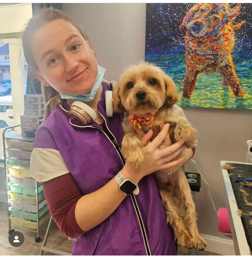 The Swanky Spaniel photo 2