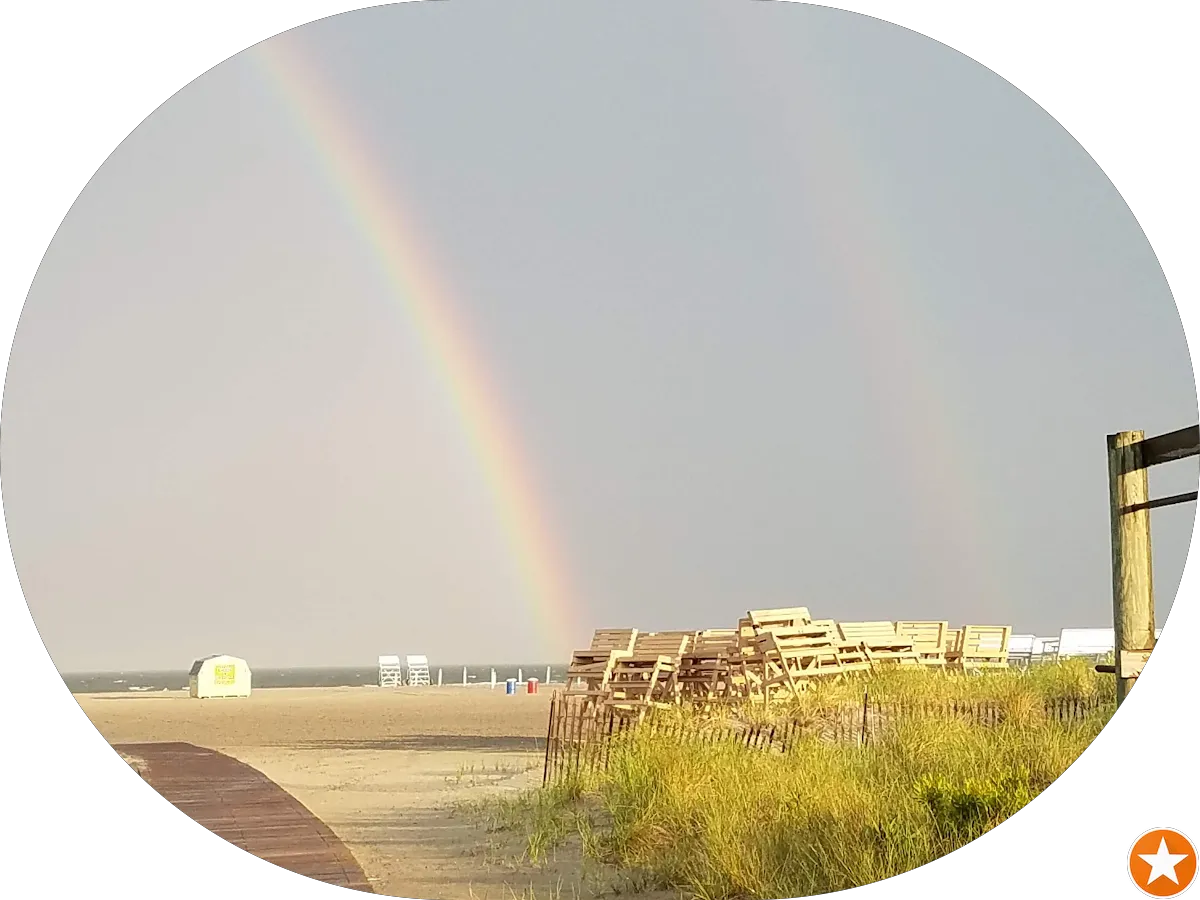 The Teal Tail photo 5