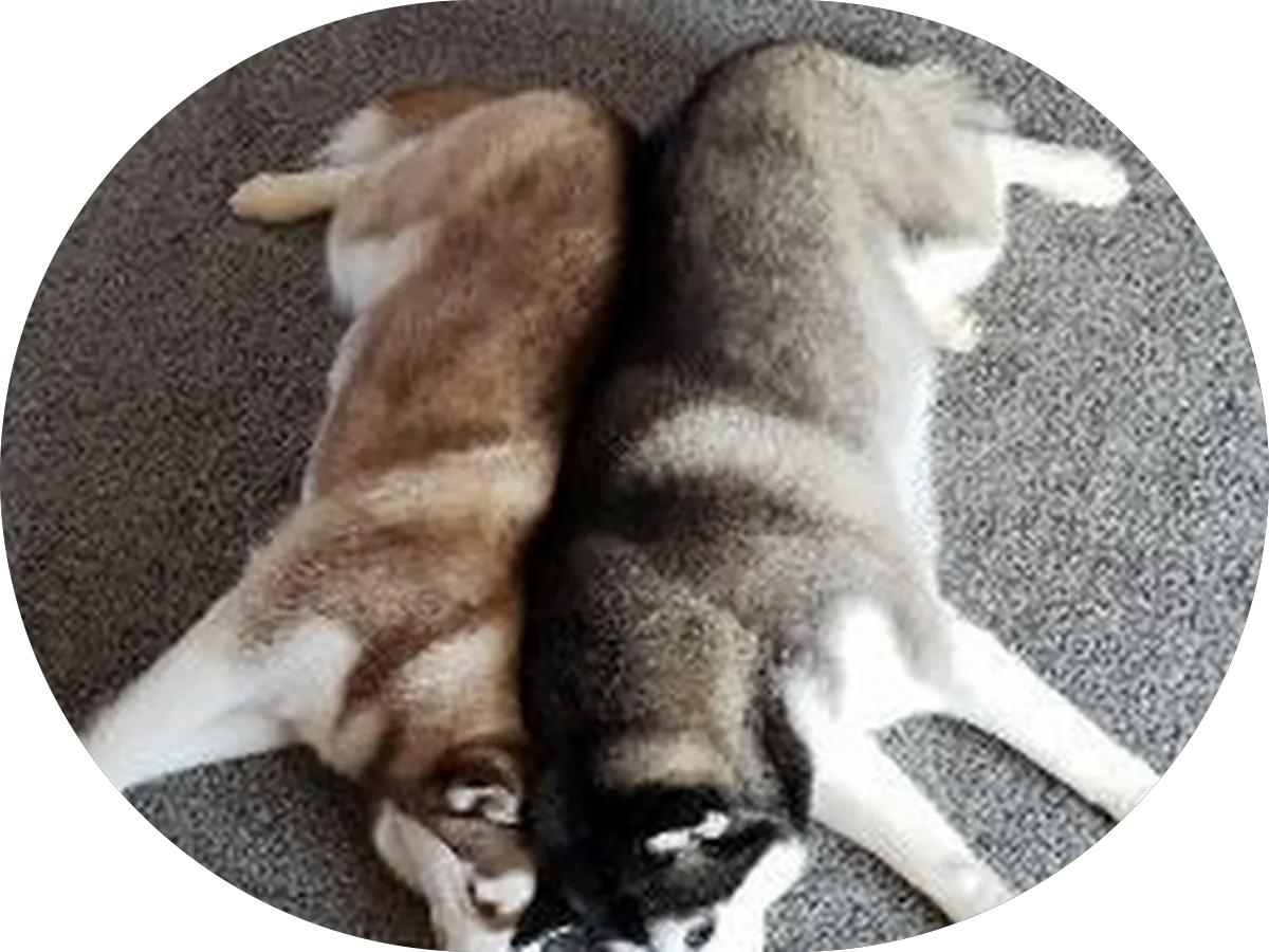 The Technology Store photo 5