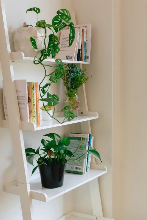 The Therapy Gal photo 3