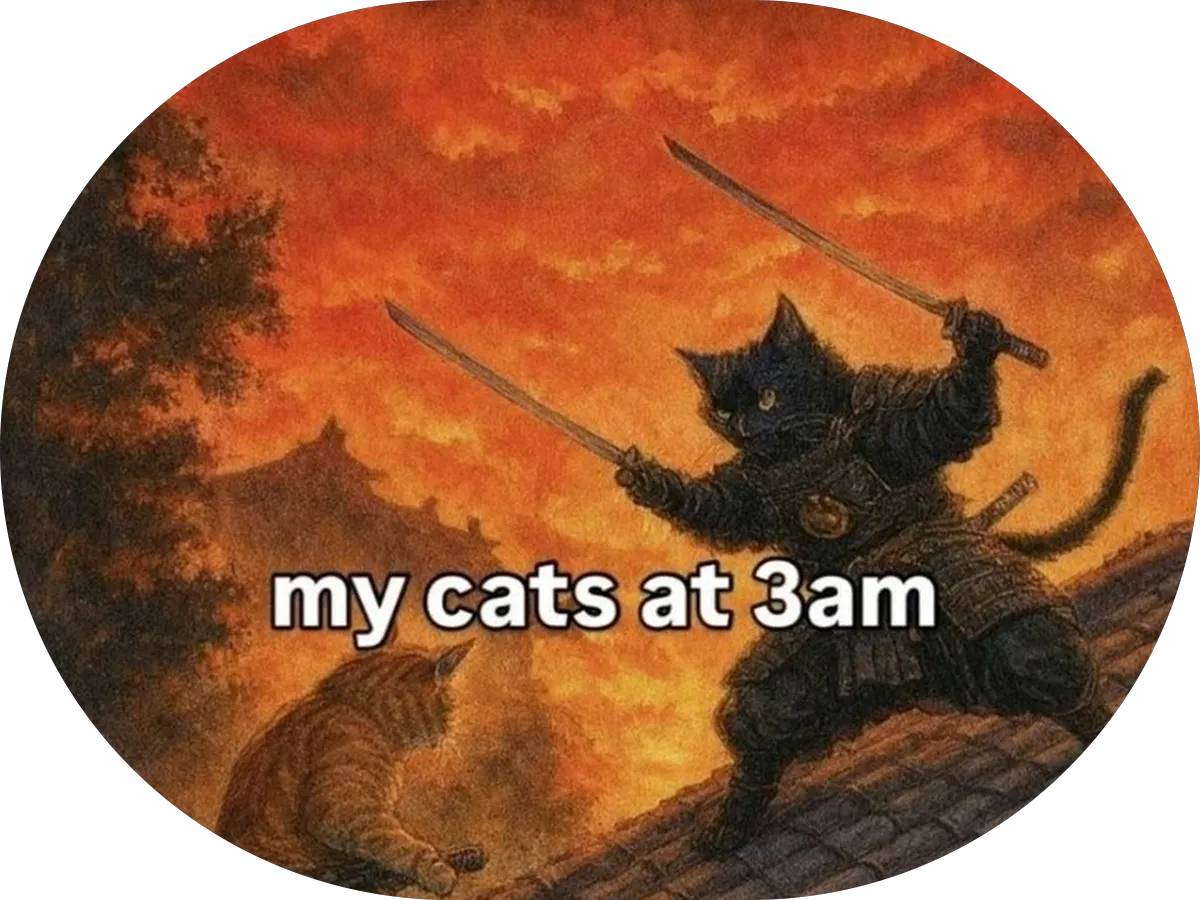 The Training Room photo 4