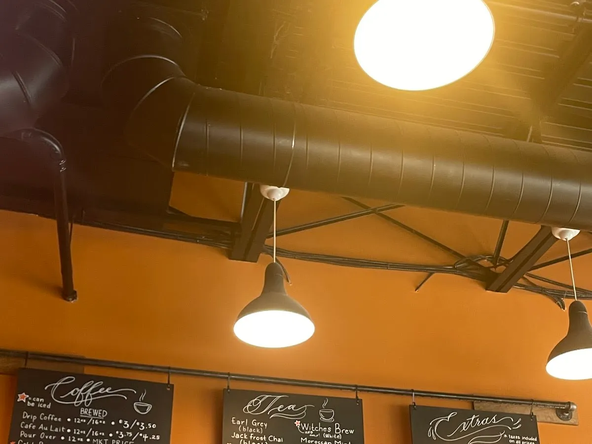 The Twisted Tulip photo 2