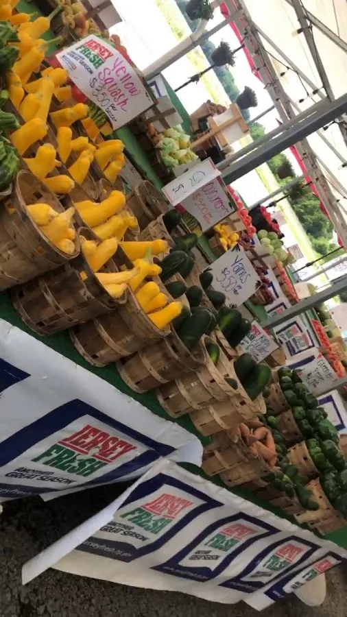 The Ultimate Juice Bar photo 4