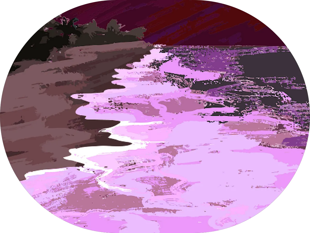 The Wash Line photo 5