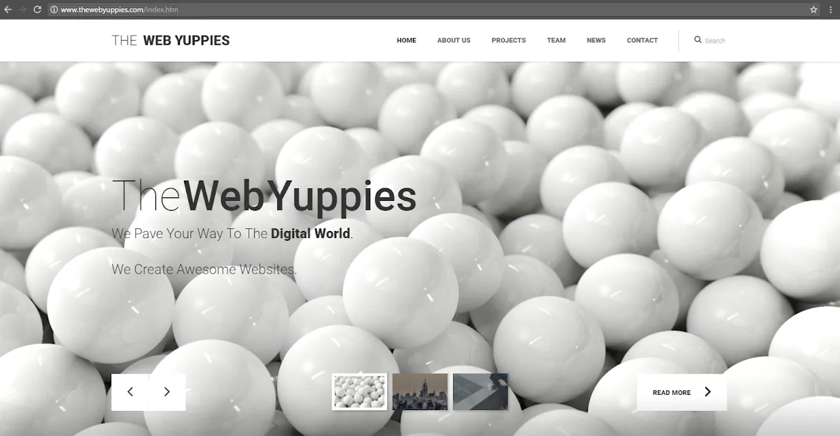 The Web Yuppies photo 2