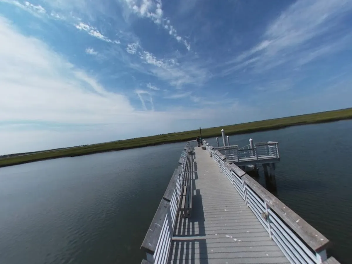 The Wetlands Institute photo 4