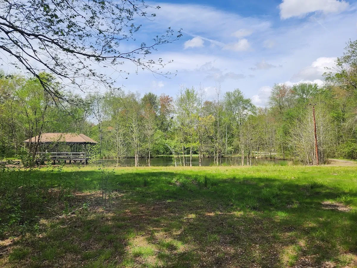 The Winding Woods Venue