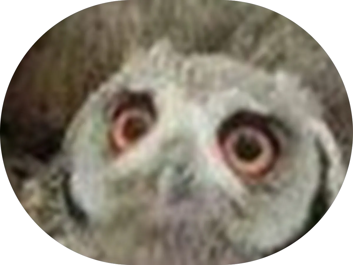 The Yoga Loft and Wellness Center photo 4